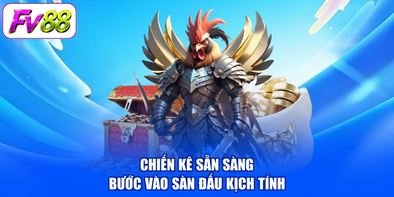 Chiến kê sẵn sàng bước vào sàn đấu kịch tính