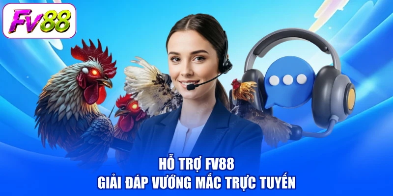 Hỗ trợ FV88 giải đáp vướng mắc trực tuyến